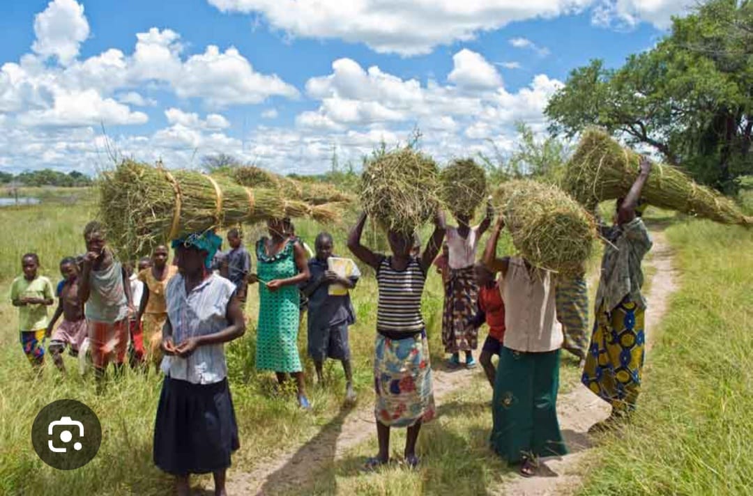 Community gathering for the harvest